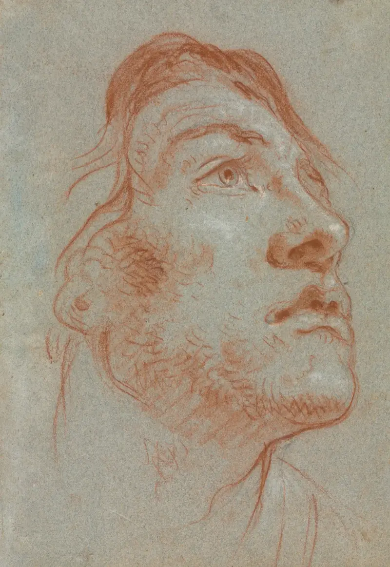 Głowa młodego mężczyzny patrzącego w górę i w prawo, Giovanni Battista Tiepolo