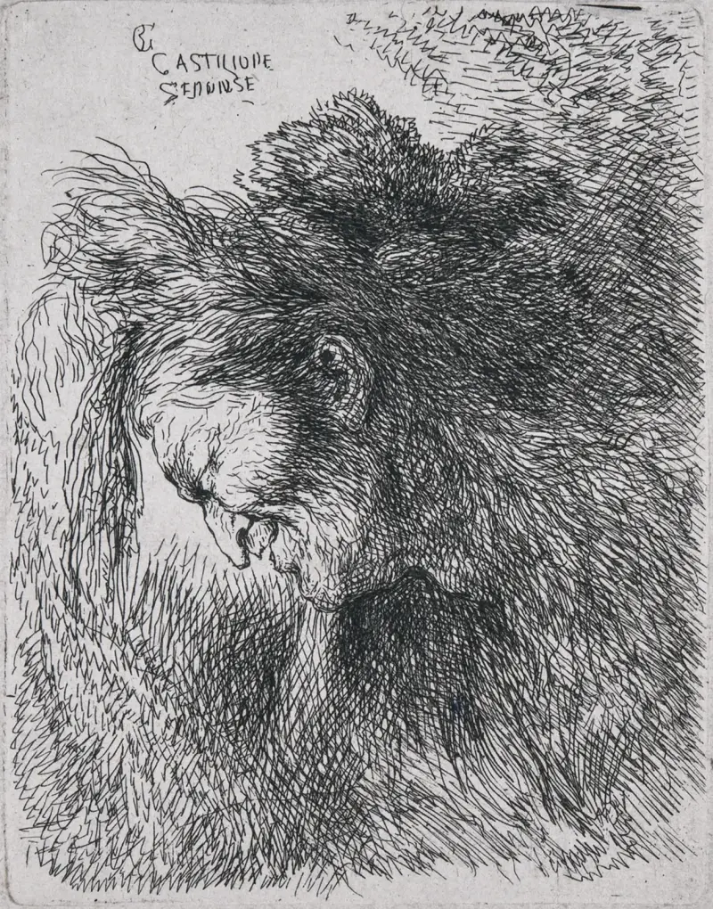 Gammal man som ser ner av Giovanni Benedetto Castiglione