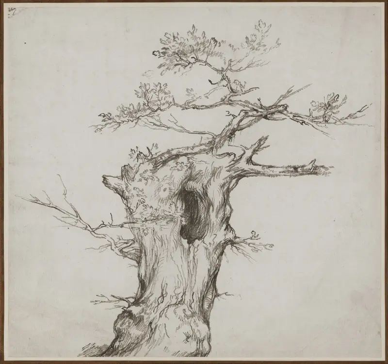Ein zersplitterter Baum von Benjamin West