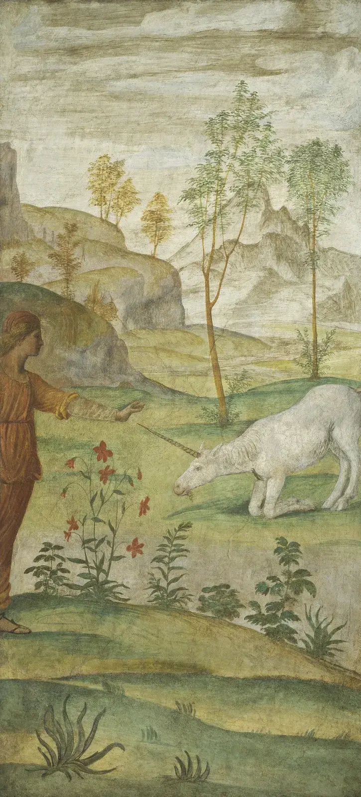 Procris und das Einhorn von Bernardino Luini