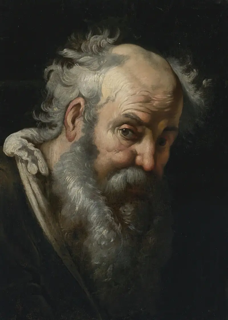 Bildnis eines bärtigen Mannes von Bernardo Strozzi