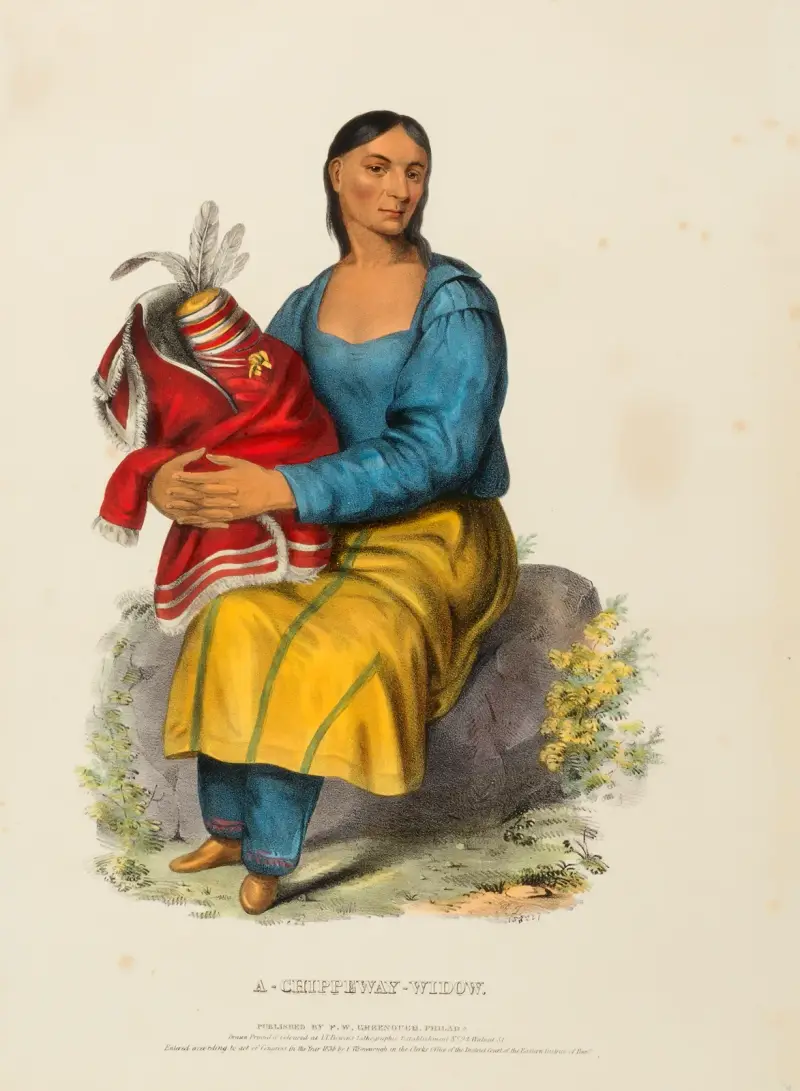A Chippeway Widow av Charles Bird King