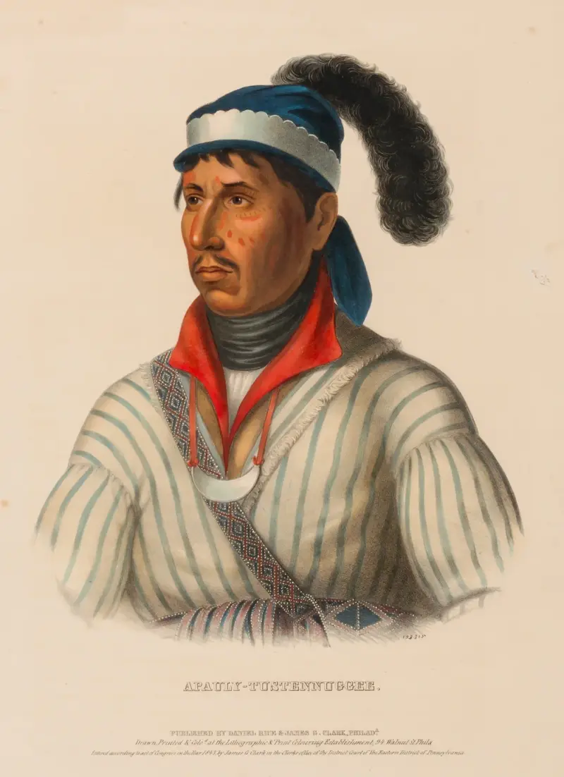 Apauly-Tustennuggee von Charles Bird King