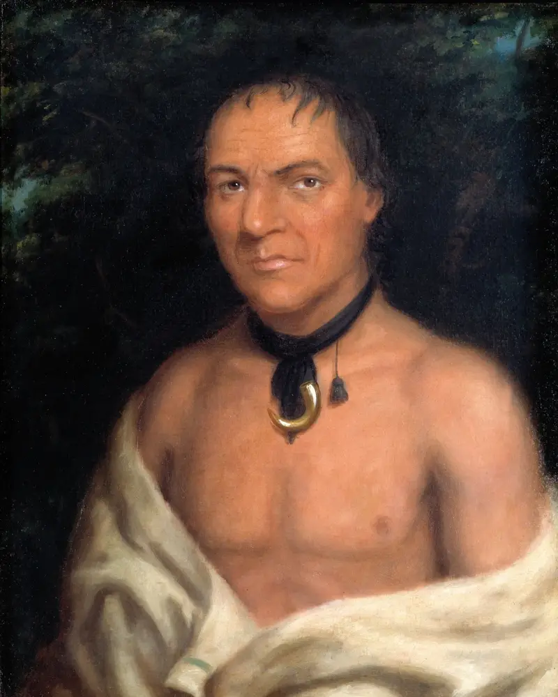 Co-sne-boin von Charles Bird King