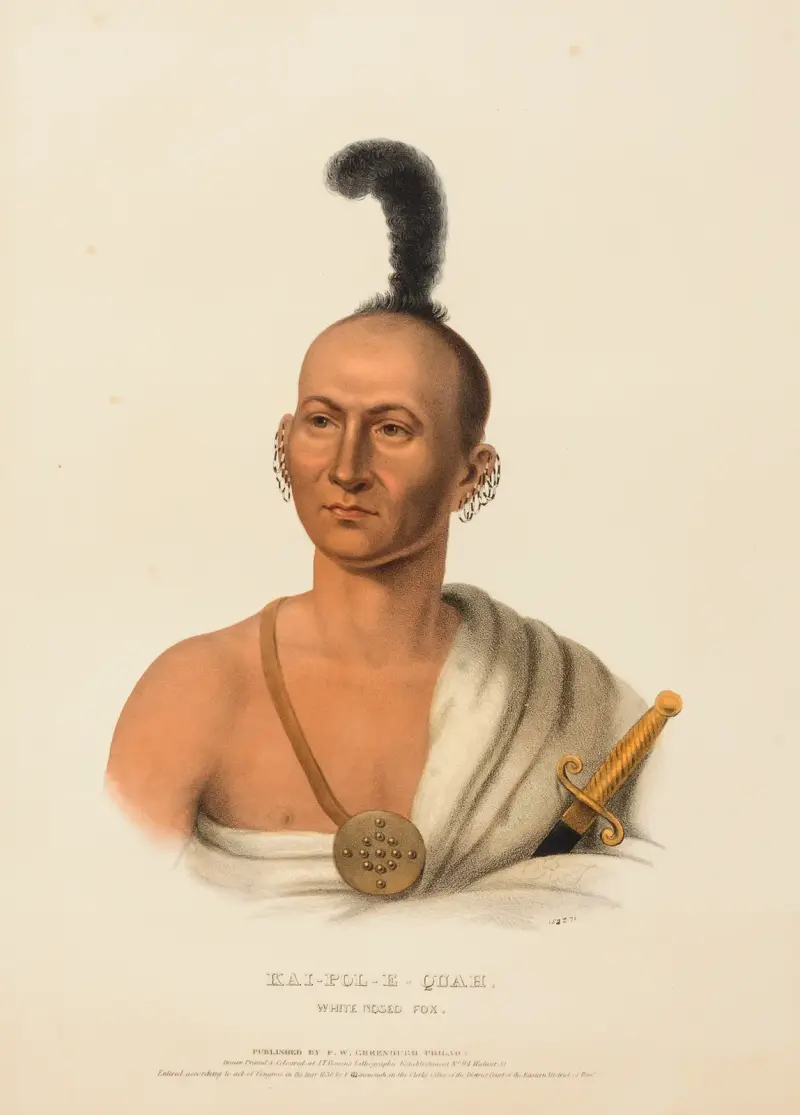 Kai-Pol-E-Quah, Weißnasiger Fuchs von Charles Bird King