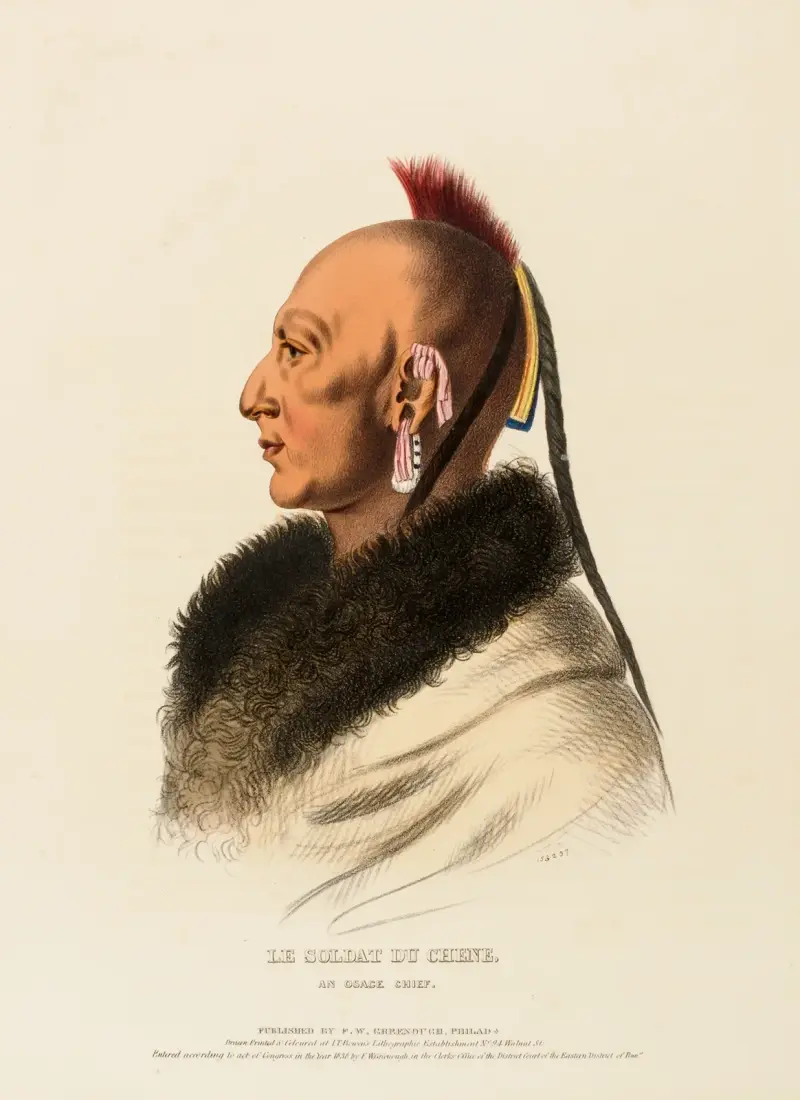 Le Soldat Du Chene, An Osage Chief av Charles Bird King