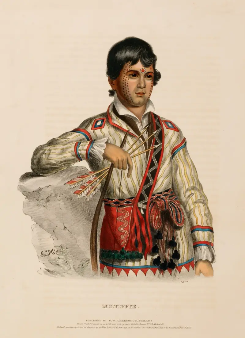 Mistippee von Charles Bird King