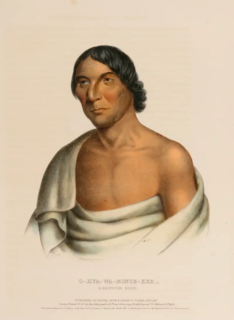 O‑Hya-Wa-Mince-Kee, A Chippewa Chief av Charles Bird King