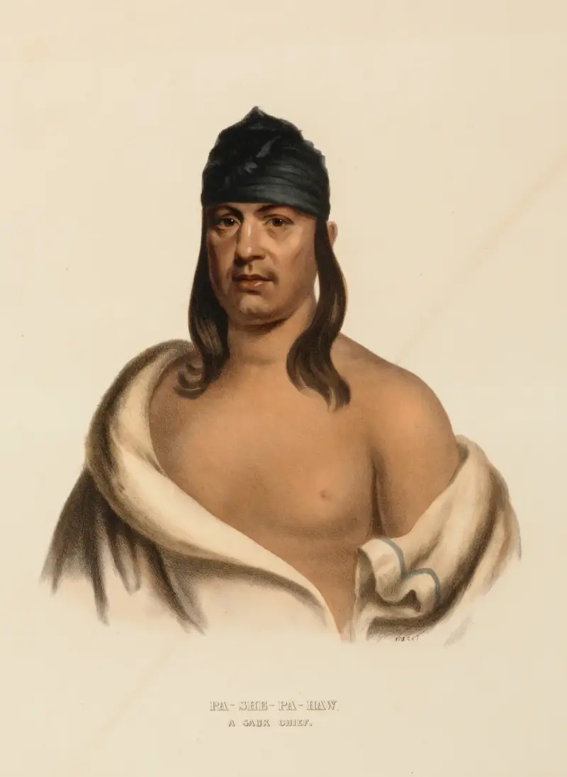 Pa-She-Pa-Haw. A Sauk Chief av Charles Bird King