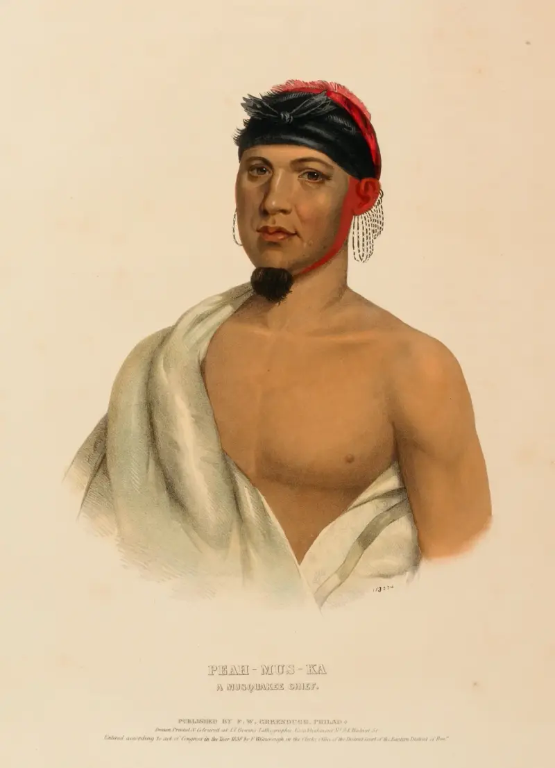 Peah-Mus-Ka. A Musquake Chief av Charles Bird King