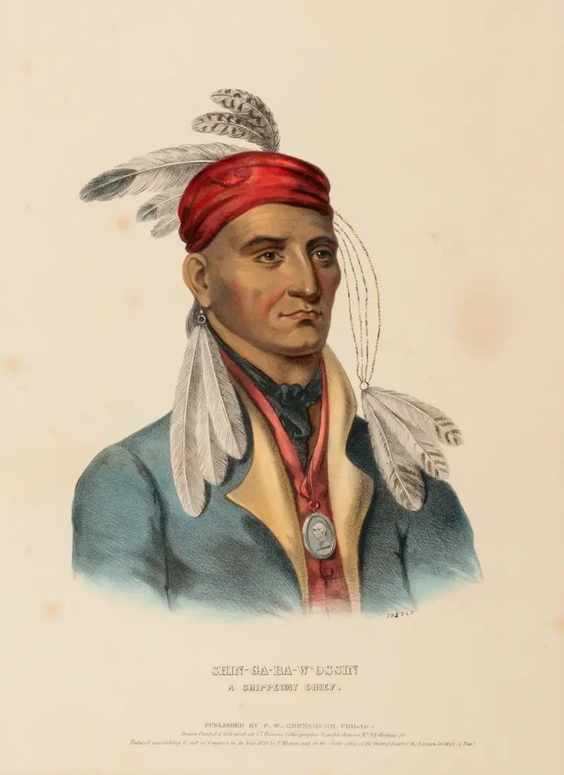 Shin-Ga-Ba-W’Ossin. A Chippeway Chief av Charles Bird King