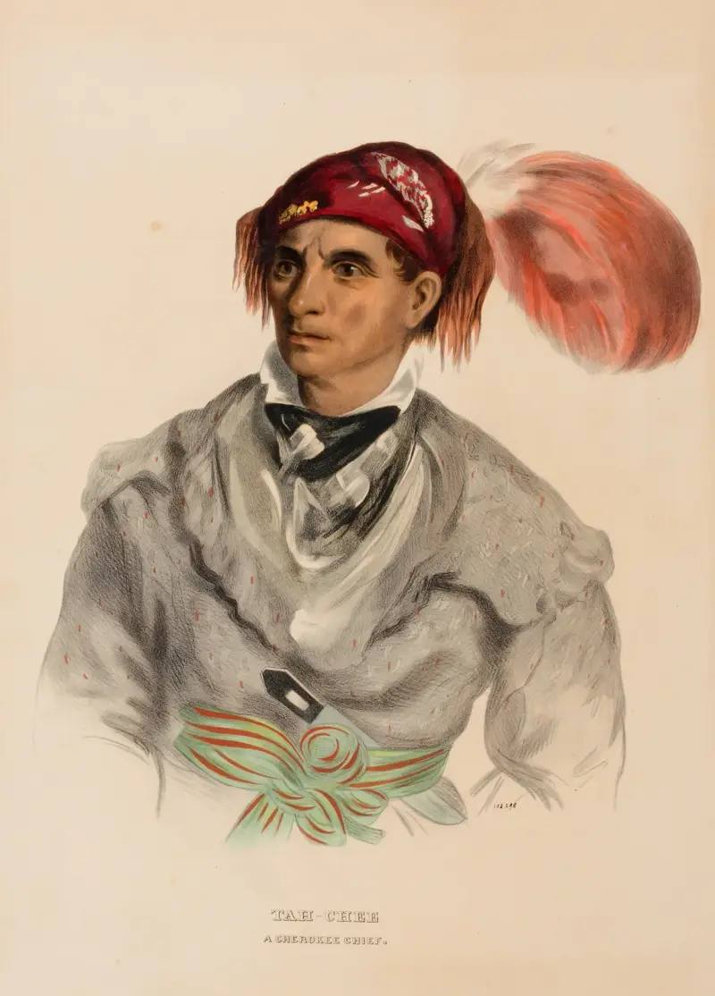 Tah-Chee (Dutch), náčelník Čerokíů, Charles Bird King