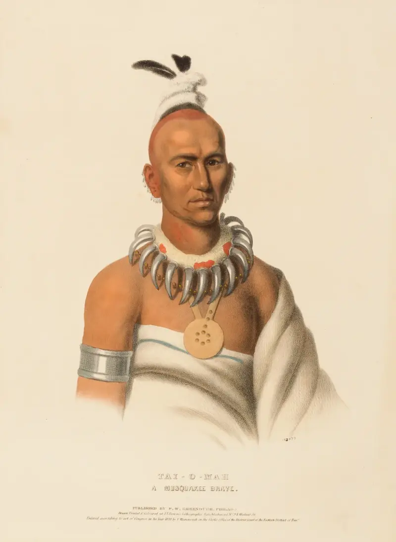 Tai-O-Mah. A Musquakee Brave av Charles Bird King