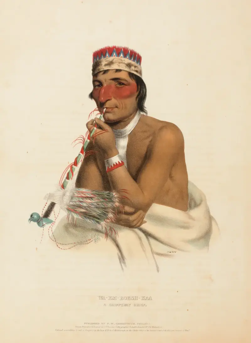 Wa-Em-Boesh-Kaa. A Chippeway Chief av Charles Bird King