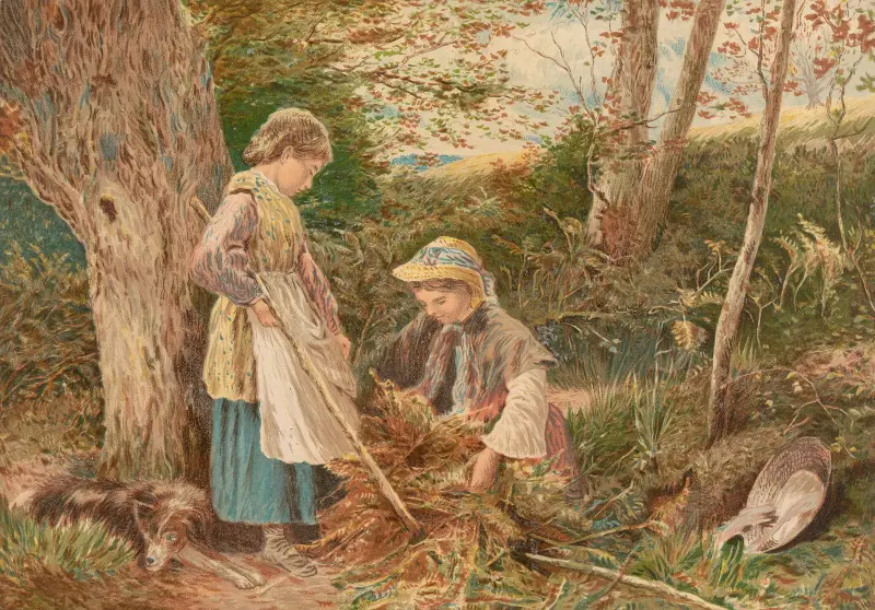 Adlerfarn sammeln von Myles Birket Foster