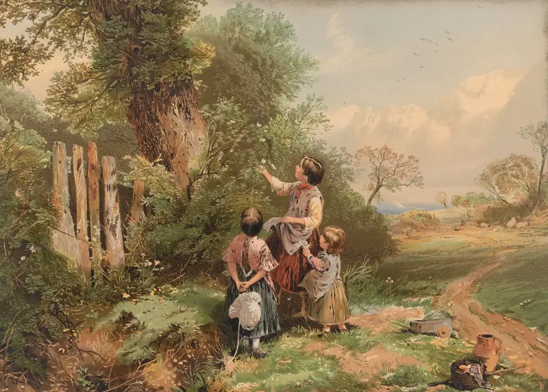 Léto, Myles Birket Foster