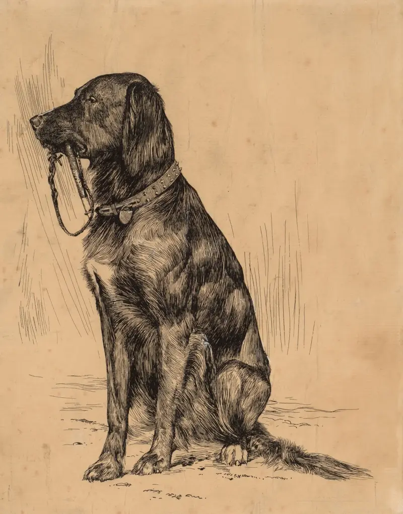 Aldrichs Hund von Arthur Bowen Davies