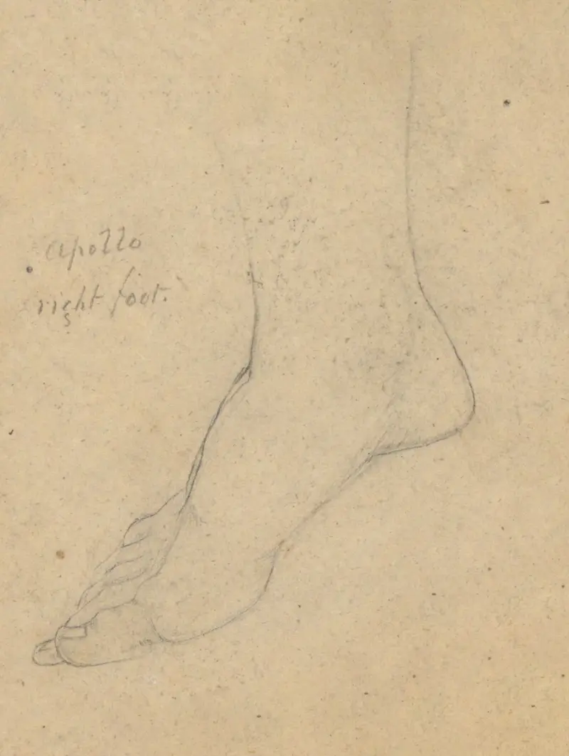Study for the Judgment of Jupiter (Apollo, right foot), 1815 – nr 2 av Samuel Finley Breese Morse