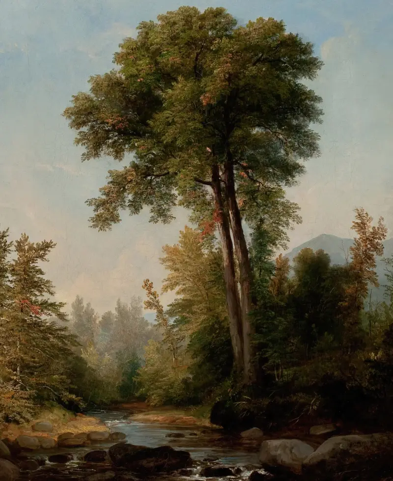 A Natural Monarch av Asher Brown Durand