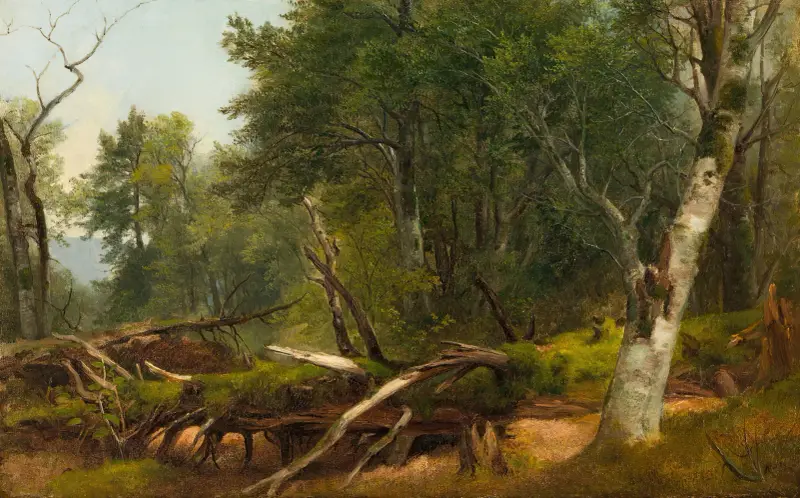 Skogslandskap i Catskills av Asher Brown Durand