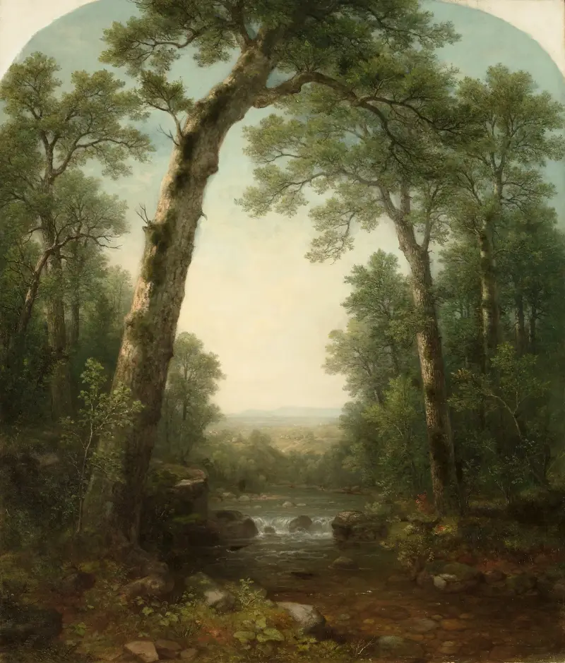 Lesní potok s výhledem, Asher Brown Durand