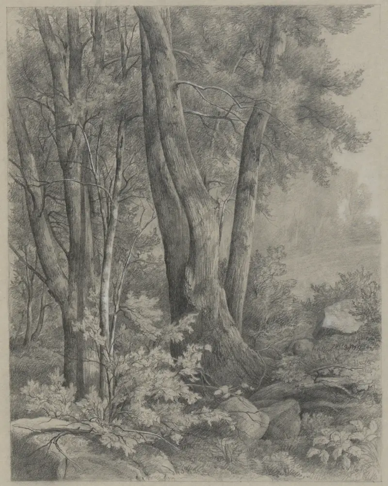 Waldbäume von Asher Brown Durand