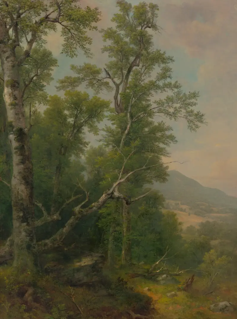 Studie av träd av Asher Brown Durand