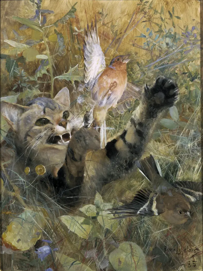 En katt och en bofink av Bruno Liljefors