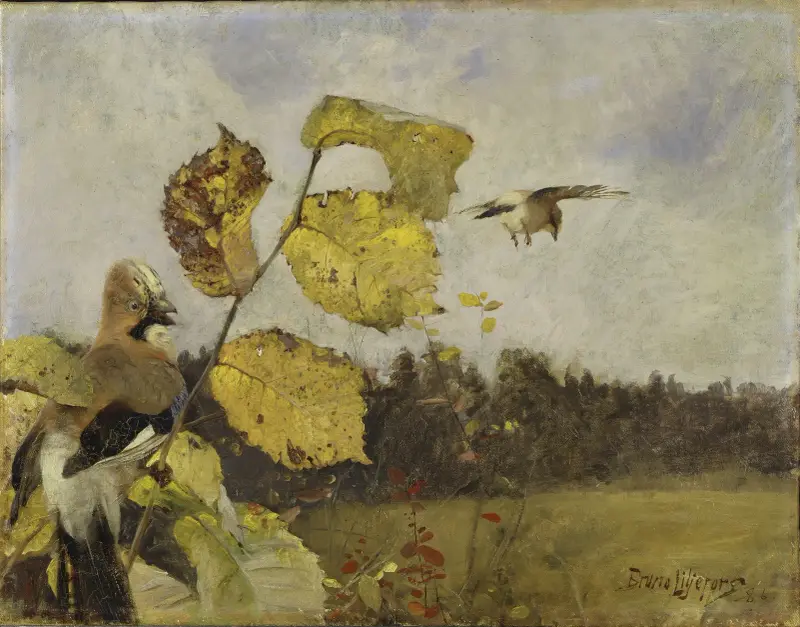 Sojky, Bruno Liljefors