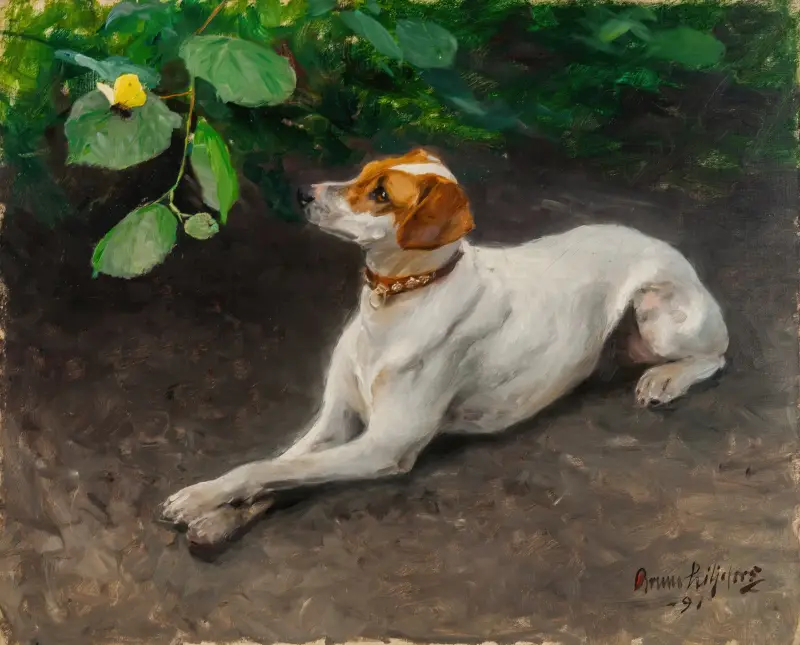 Porträtt av en hund av Bruno Liljefors