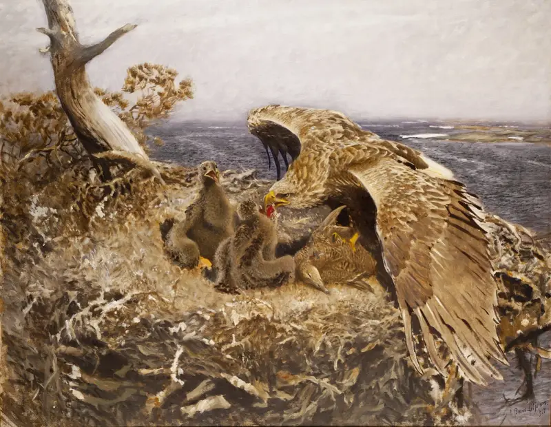 Das Nest des Seeadlers von Bruno Liljefors