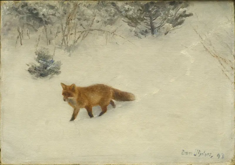 Liška, Bruno Liljefors