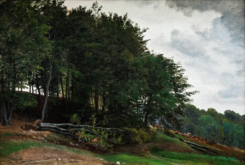 Zalesněné kopce, P. C. Skovgaard