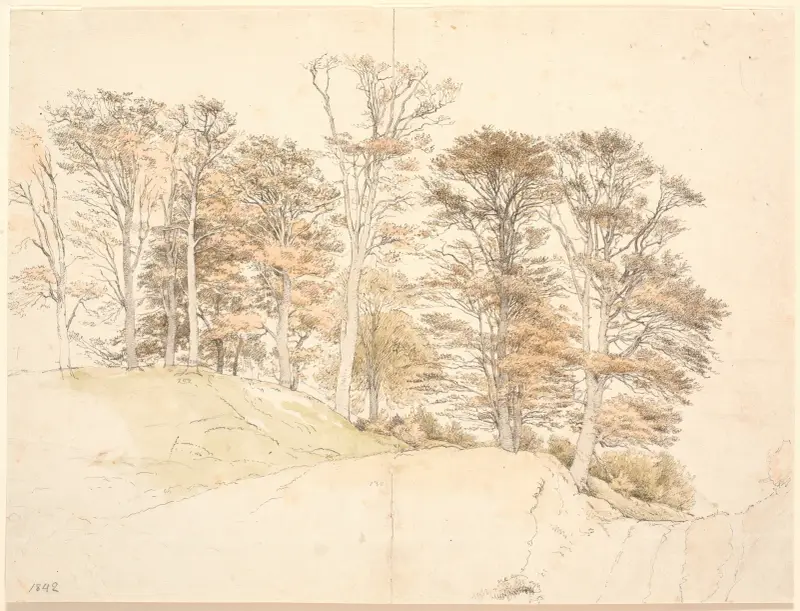 Hohe Bäume mit Herbstlaub auf hügeligem Grund, 1842 von P. C. Skovgaard