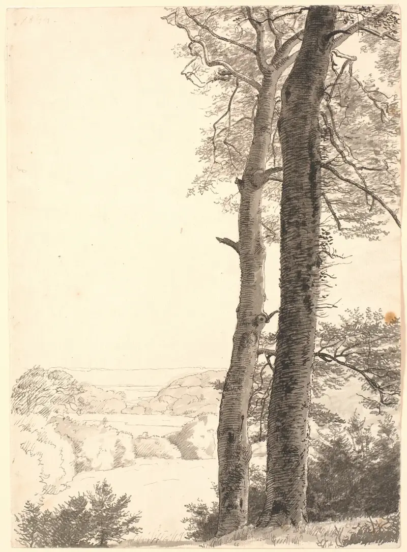 Landschaft bei Skarritsø mit zwei hohen Bäumen, Buchen, im Vordergrund von P. C. Skovgaard