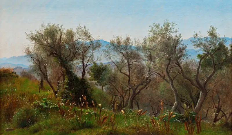 Olive Trees near Olevano av P. C. Skovgaard