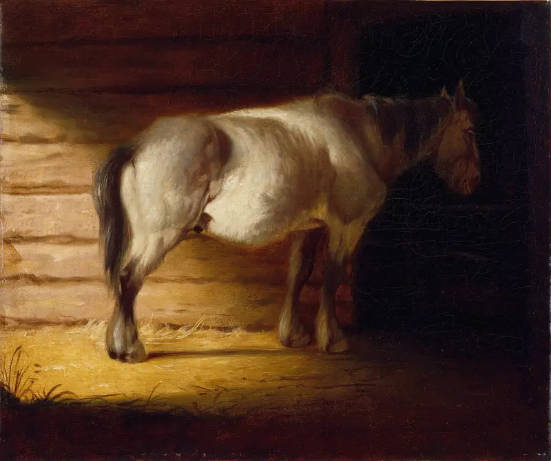 Starý kůň na poli, George Caleb Bingham