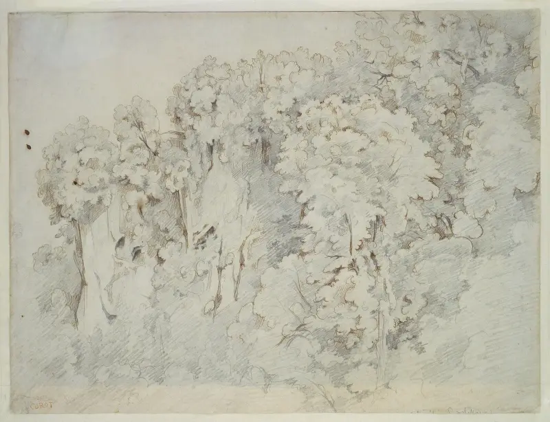 Study of a landscape near Cività Castellana av Jean-Baptiste-Camille Corot