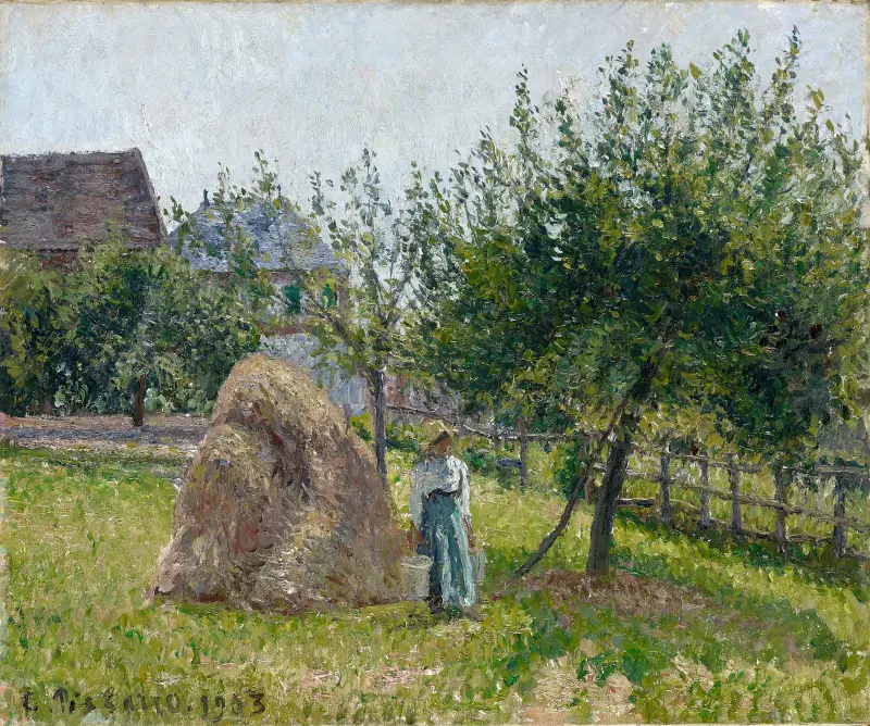 Apple Trees in Eragny, Sunny Morning av Camille Pissarro
