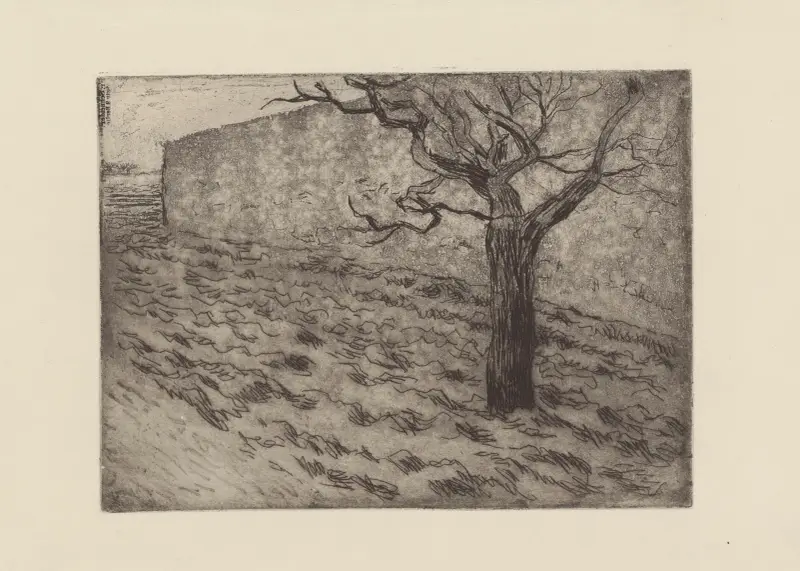 Arbre et terrain labouré av Camille Pissarro