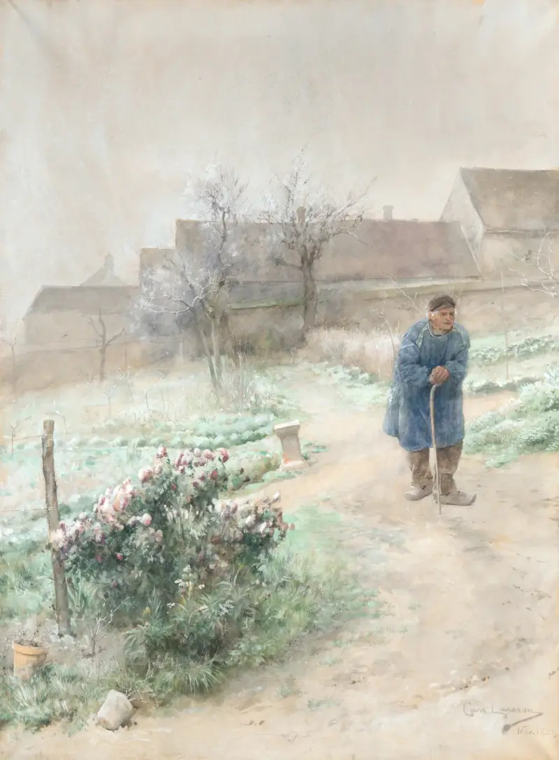 November von Carl Larsson