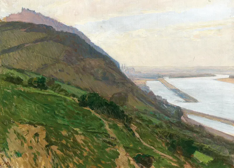Pohled na Dunaj, Carl Moll