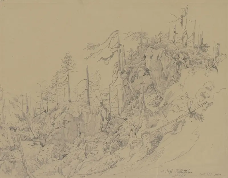 Waldlandschaft bei Hallstadt av Carl Morgenstern