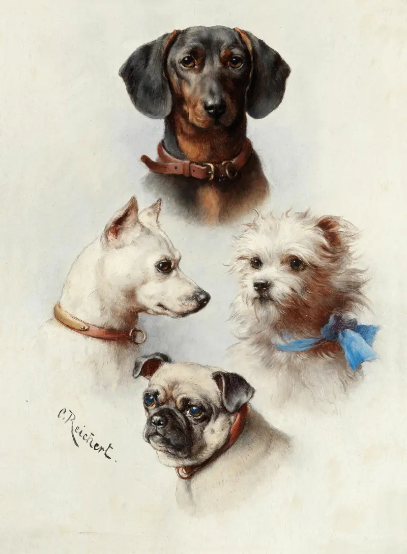 A motley crew av Carl Reichert