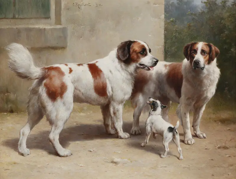 Drei Hunde av Carl Reichert