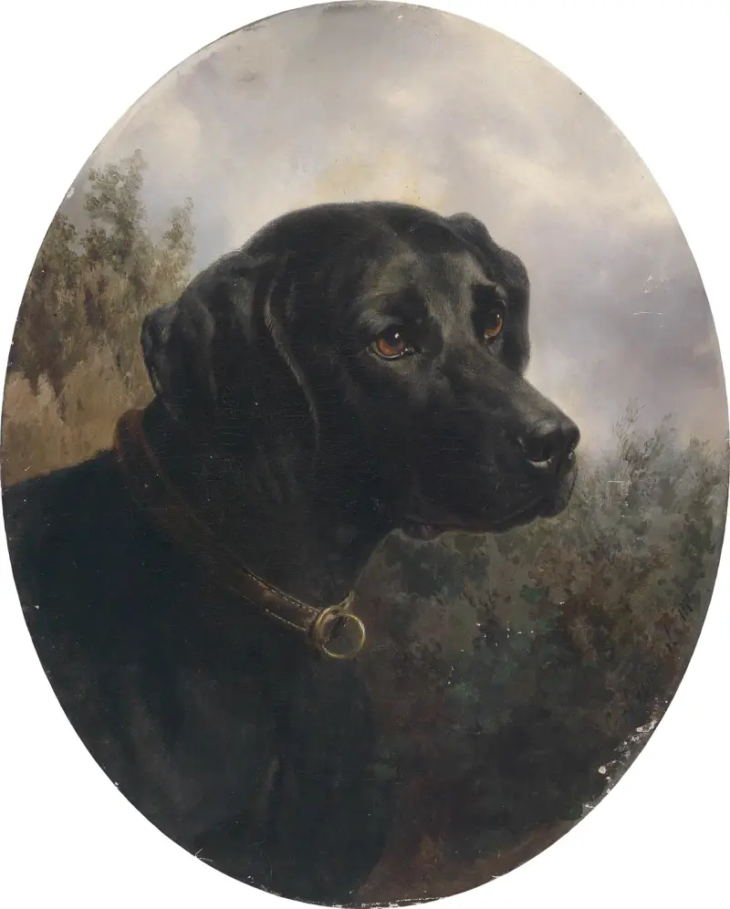 Hector, Carl Reichert
