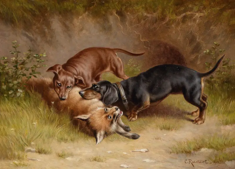 Jagdbeute von Carl Reichert