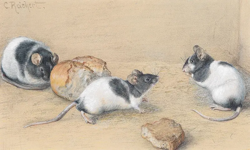 Möss av Carl Reichert