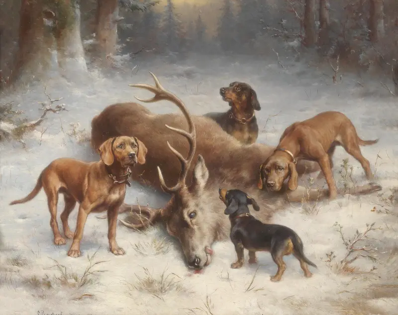 Schweißhunde mit erlegtem Hirsch av Carl Reichert