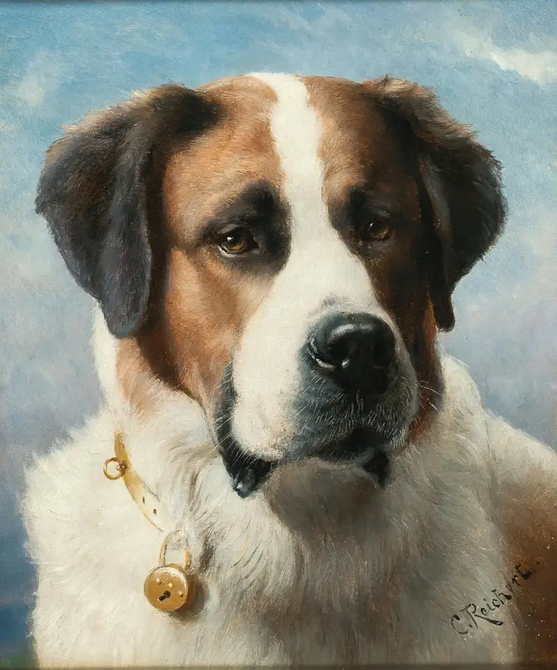 Święty Bernard – nr 2, Carl Reichert